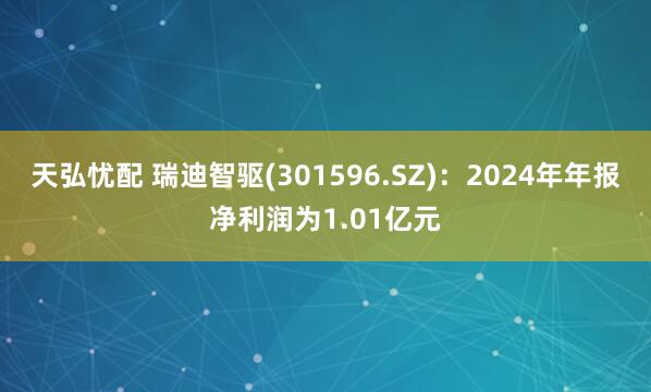 天弘忧配 瑞迪智驱(301596.SZ)：2024年年报净利润为1.01亿元