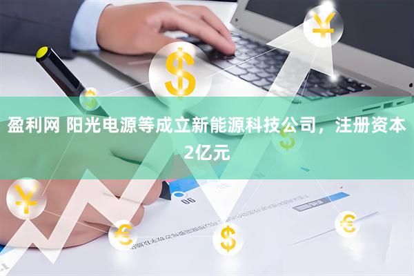 盈利网 阳光电源等成立新能源科技公司，注册资本2亿元