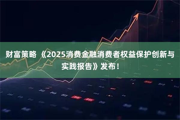 财富策略 《2025消费金融消费者权益保护创新与实践报告》发布！